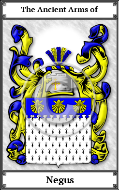 Negus Family Crest Download (JPG) Book Plated - 600 DPI