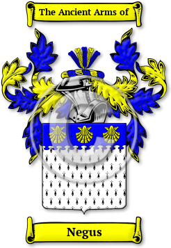 Negus Family Crest Download (JPG) Legacy Series - 600 DPI