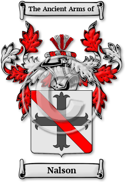 Nalson Family Crest Download (JPG) Legacy Series - 600 DPI