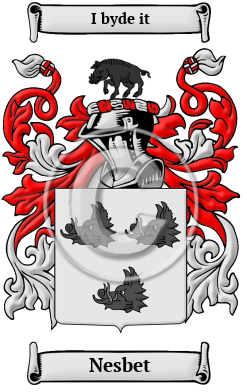Nesbet Family Crest/Coat of Arms