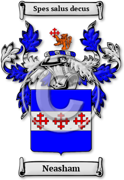 Neasham Family Crest Download (jpg) Legacy Series - 150 DPI