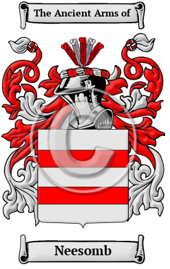 Neesomb Family Crest/Coat of Arms