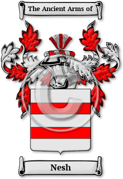 Nesh Family Crest Download (JPG) Legacy Series - 600 DPI