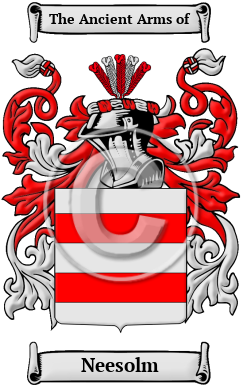 Neesolm Family Crest/Coat of Arms