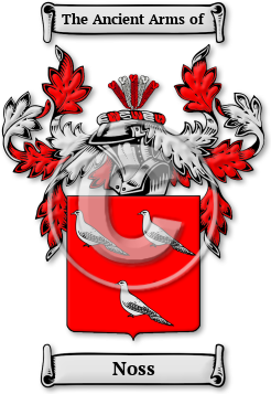 Noss Family Crest Download (jpg) Legacy Series - 150 DPI