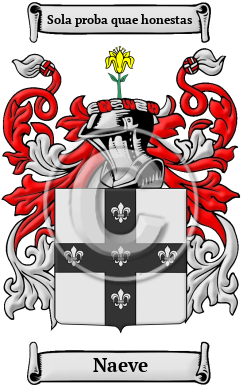 Naeve Family Crest/Coat of Arms