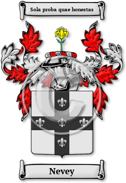 Nevey Family Crest Download (jpg) Legacy Series - 150 DPI