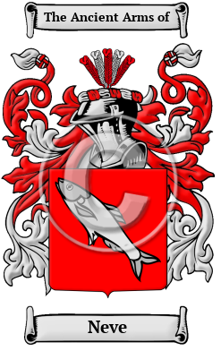 Neve Family Crest/Coat of Arms