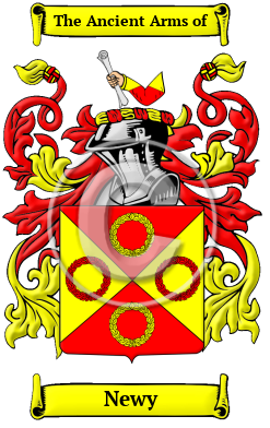 Newy Family Crest/Coat of Arms