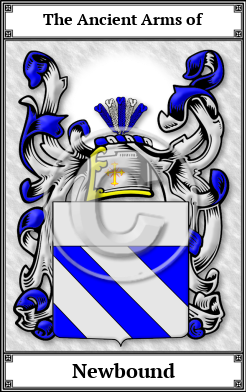 Newbound Family Crest Download (JPG) Book Plated - 600 DPI