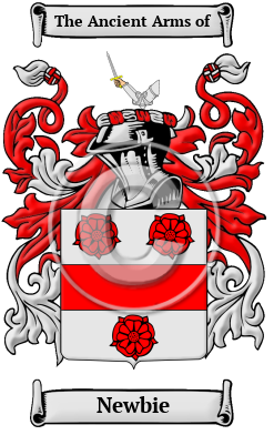 Newbie Family Crest/Coat of Arms