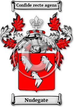 Nudegate Family Crest Download (jpg) Legacy Series - 150 DPI