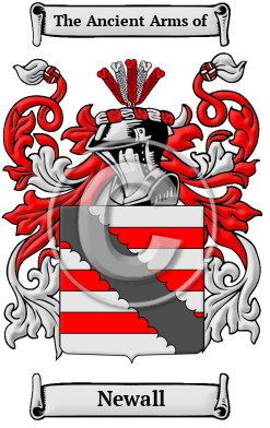 Newall Family Crest/Coat of Arms