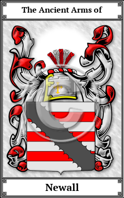 Newall Family Crest Download (JPG) Book Plated - 600 DPI