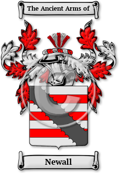 Newall Family Crest Download (JPG) Legacy Series - 600 DPI