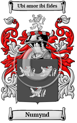 Numynd Family Crest/Coat of Arms