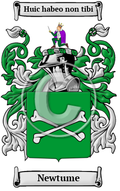 Newtume Family Crest/Coat of Arms