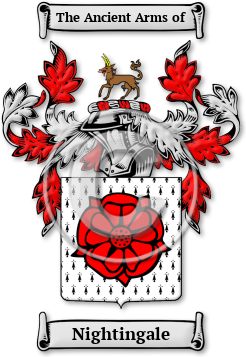 Nightingale Family Crest Download (jpg) Legacy Series - 150 DPI