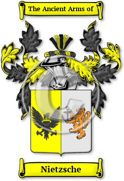 Nietzsche Family Crest Download (jpg) Legacy Series - 150 DPI
