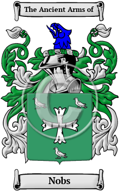 Nobs Family Crest/Coat of Arms