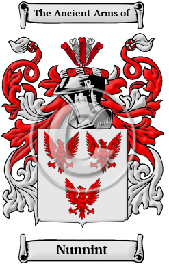 Nunnint Family Crest/Coat of Arms