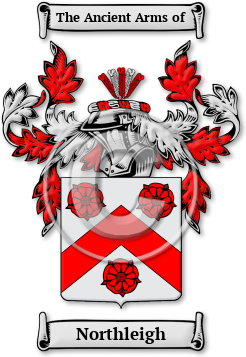 Northleigh Family Crest Download (jpg) Legacy Series - 150 DPI