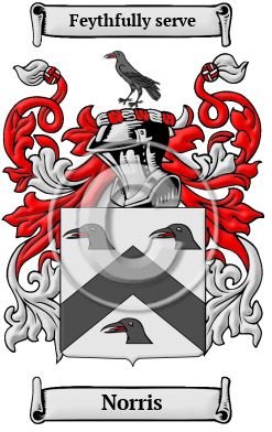 Norris Family Crest/Coat of Arms