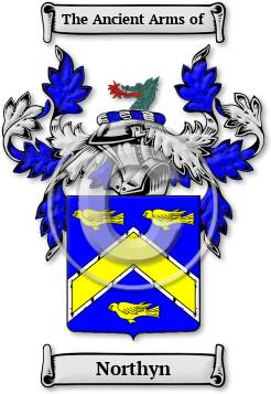 Northyn Family Crest Download (jpg) Legacy Series - 150 DPI