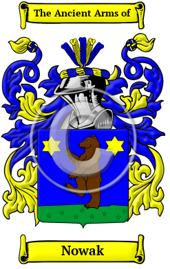 Nowak Family Crest/Coat of Arms