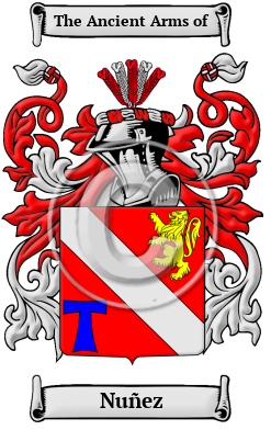 Nuñez Family Crest/Coat of Arms