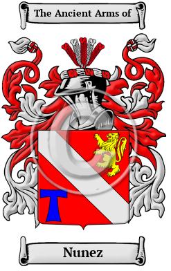 Nunez Family Crest/Coat of Arms
