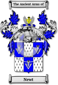 Newt Family Crest Download (JPG) Legacy Series - 300 DPI