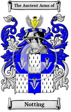 Notting Family Crest/Coat of Arms