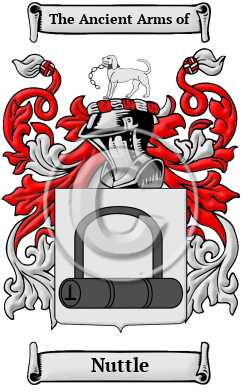 Nuttle Family Crest/Coat of Arms