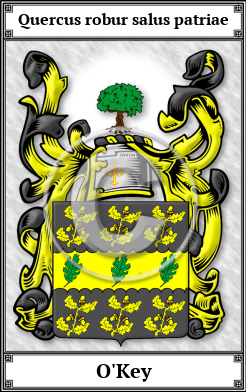O'Key Family Crest Download (JPG)  Book Plated - 150 DPI