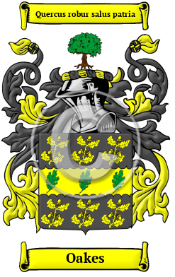 Oakes Family Crest/Coat of Arms