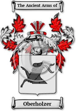Oberholzer Family Crest Download (jpg) Legacy Series - 150 DPI