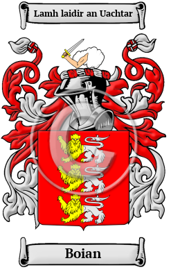 Boian Family Crest/Coat of Arms