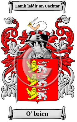 O' brien Family Crest/Coat of Arms
