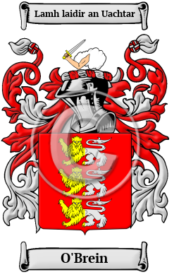 O'Brein Family Crest/Coat of Arms