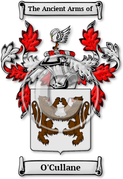 O'Cullane Family Crest Download (jpg) Legacy Series - 150 DPI