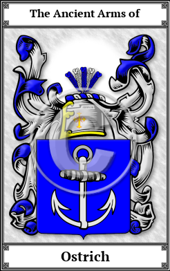 Ostrich Family Crest Download (JPG) Book Plated - 600 DPI
