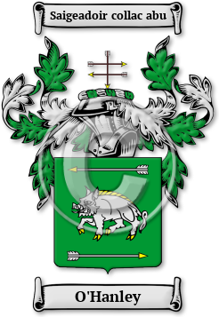 O'Hanley Family Crest Download (JPG) Legacy Series - 600 DPI