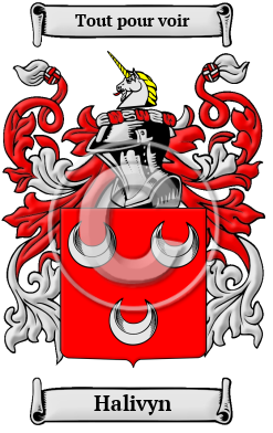 Halivyn Family Crest/Coat of Arms