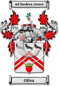 Oliva Family Crest Download (JPG) Legacy Series - 600 DPI