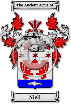 Niell Family Crest Download (jpg) Legacy Series - 150 DPI