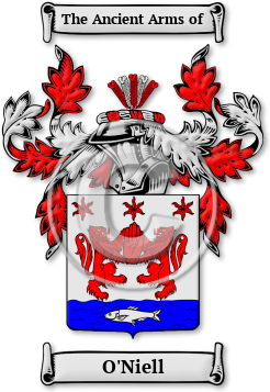 O'Niell Family Crest Download (jpg) Legacy Series - 150 DPI