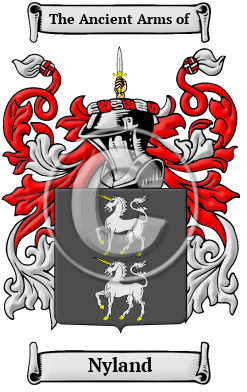 Nyland Family Crest/Coat of Arms