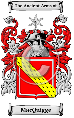 MacQuigge Family Crest/Coat of Arms