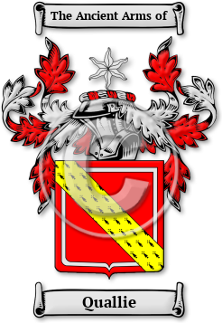 Quallie Family Crest Download (jpg) Legacy Series - 150 DPI